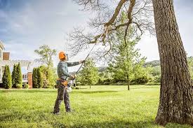 Bedford, OH Tree Removal and Landscaping Services Company